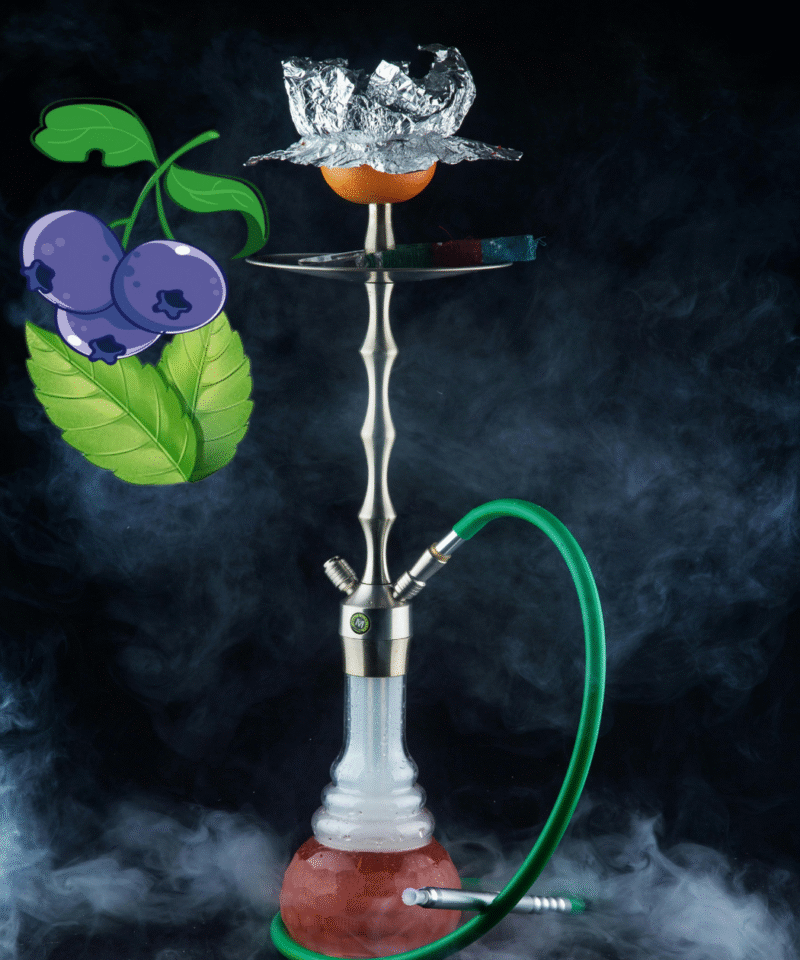 BlueBerry with Mint